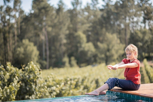 Top Gerbera Terracotta
