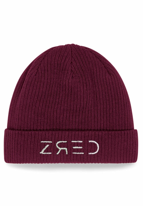 Vision Winter Beanie - Unisex